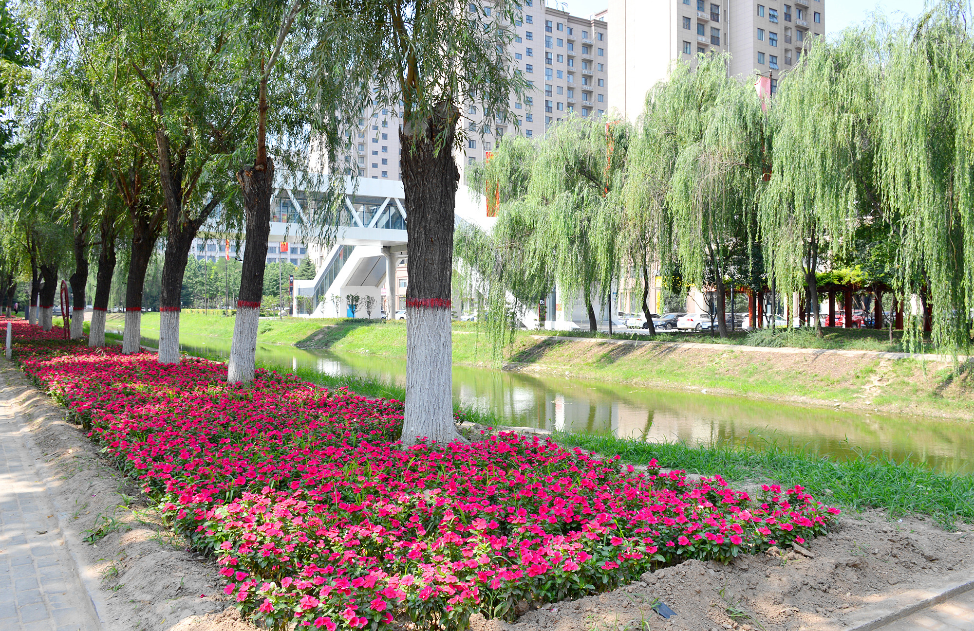 长葛市葛园公园最新消息,长葛有什么公园广场