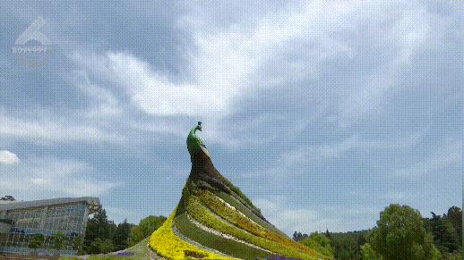 昆明植被覆盖情况,昆明市区植被覆盖率最高区域