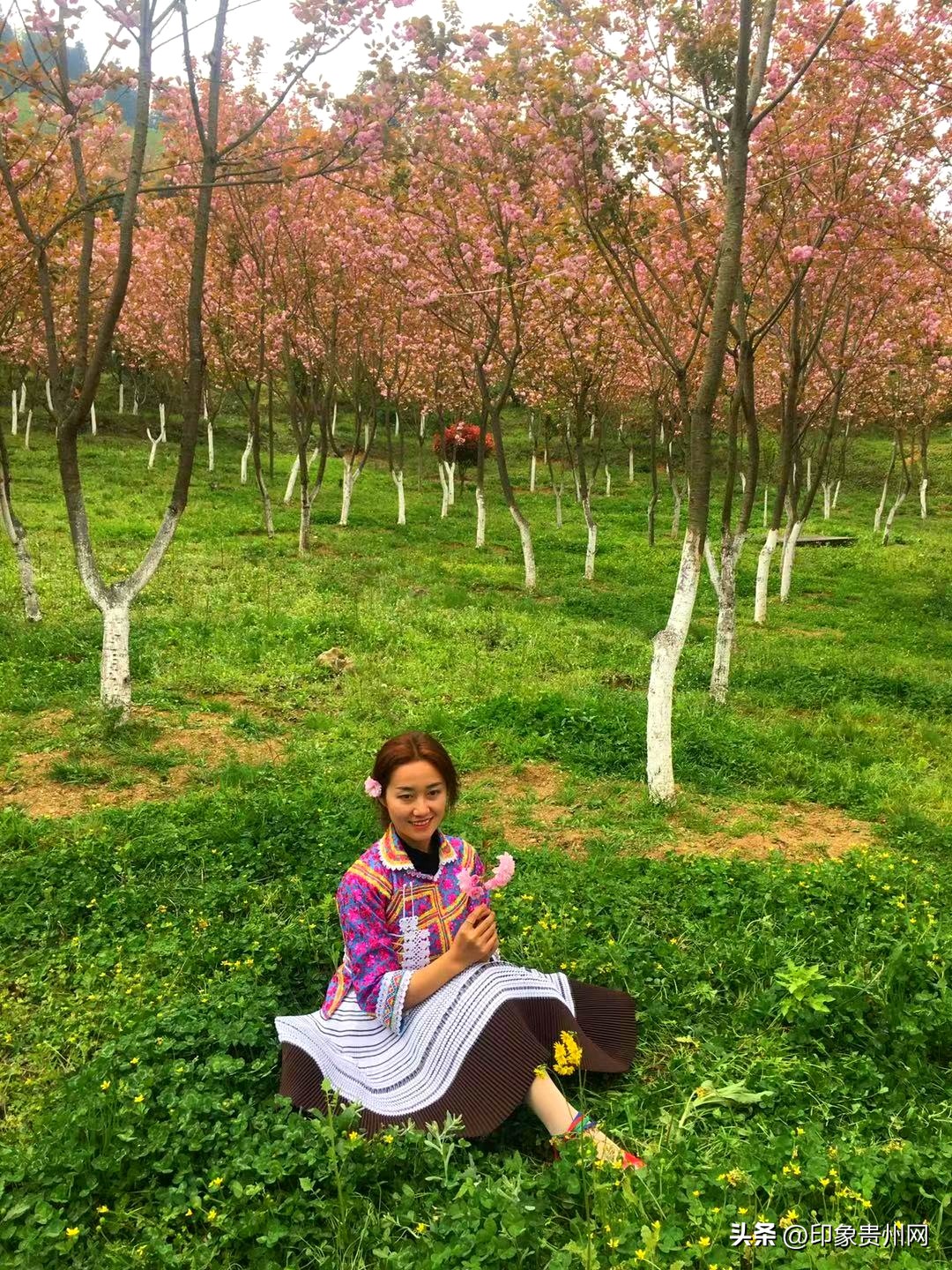 贵阳今年最好玩的赏花好去处推荐,贵阳十大赏花地推荐