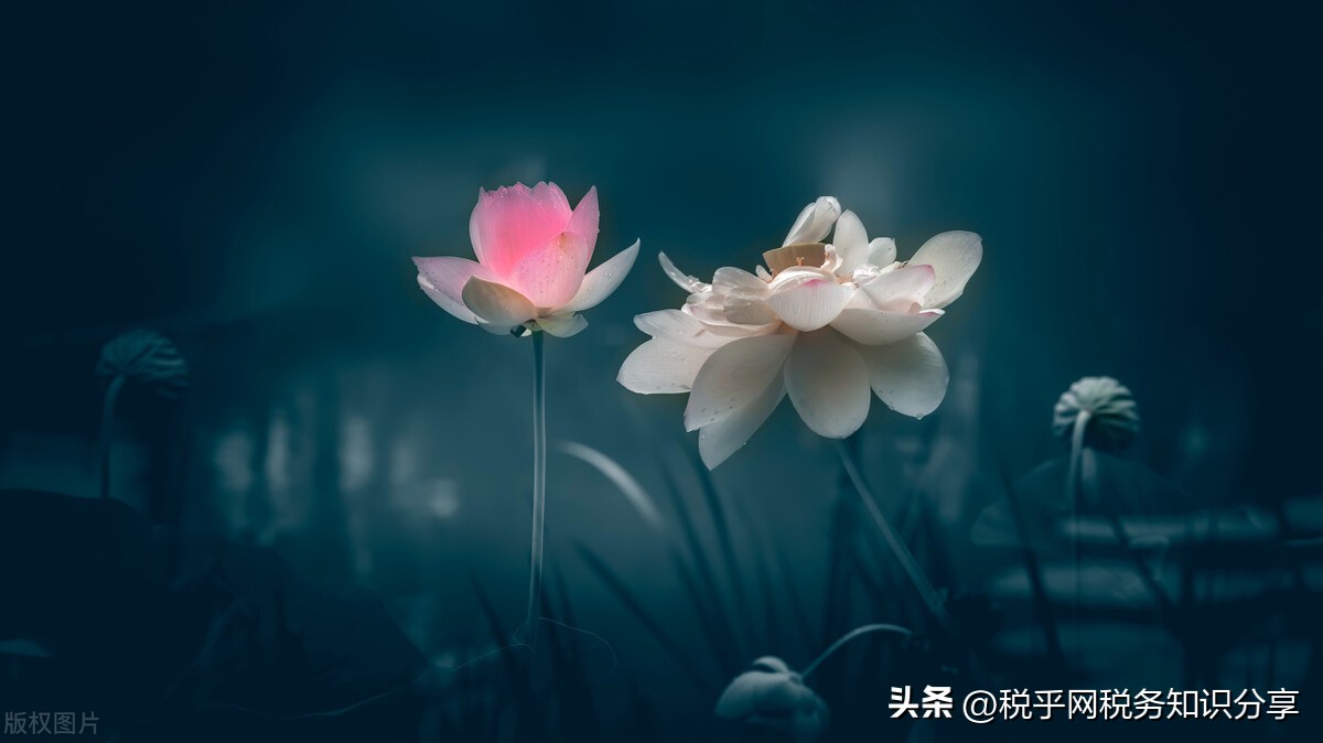 漏缴的税款可以做纳税调整吗,税务稽查可重新核定应纳税额吗