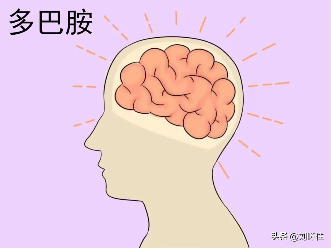 为什么困了之后身体使不上力,为什么困了很久后不困了反而精神