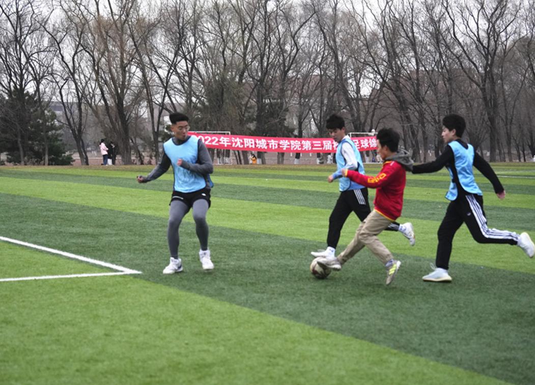 加油“世界杯”，逐鹿“绿岛杯”！