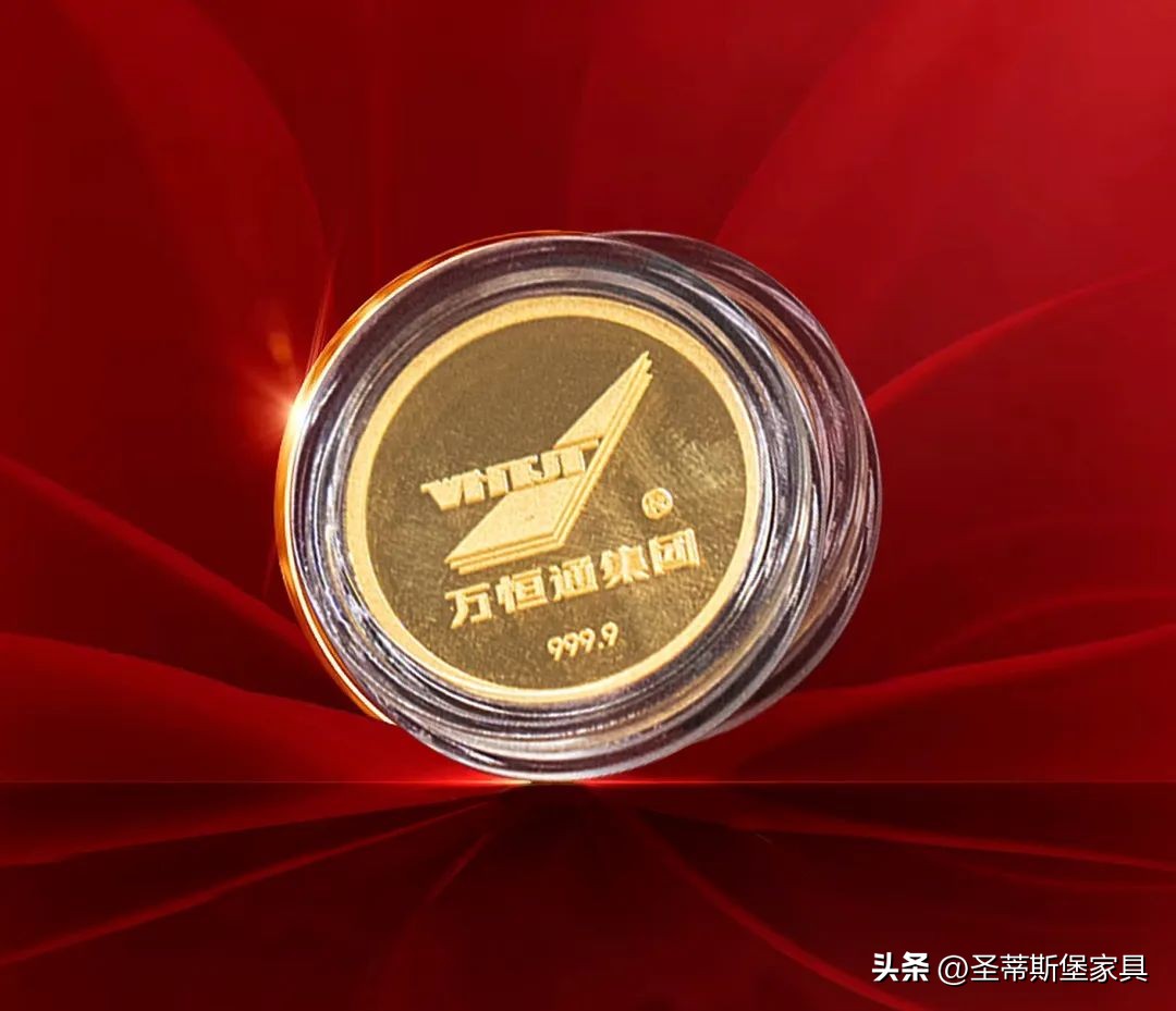 圣蒂斯堡全屋整装欢迎您,踔厉奋发喜迎新年