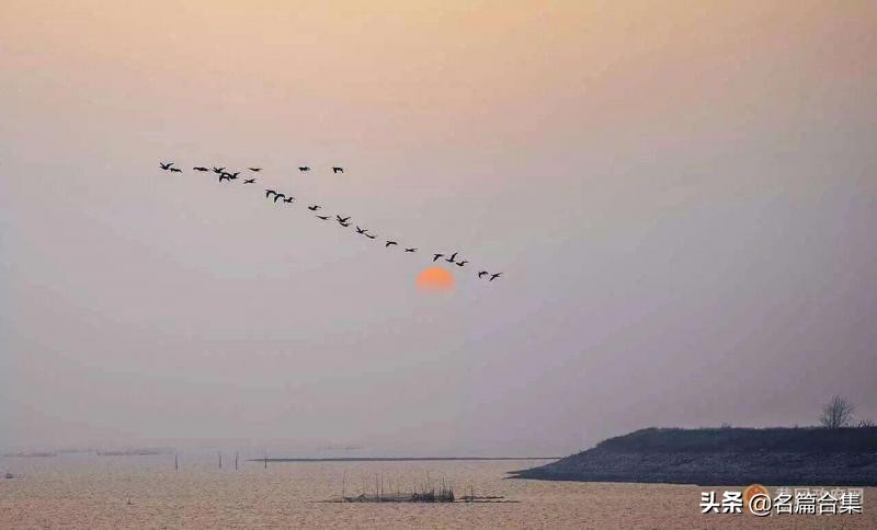 名篇金榜「赤壁诗苑」龙感湖诗词合集(第005期)