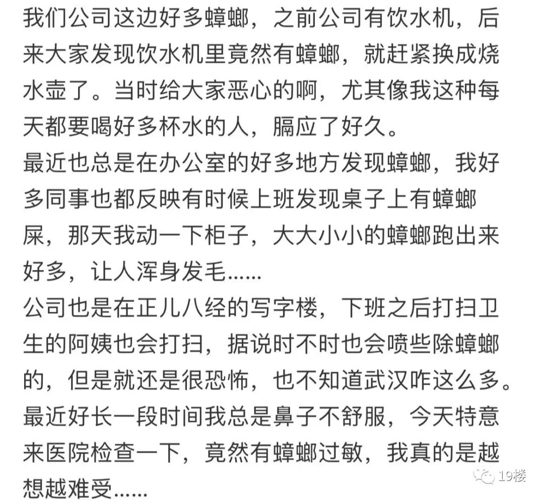 过敏原检测为蟑螂,过敏源是蟑螂过敏怎么办