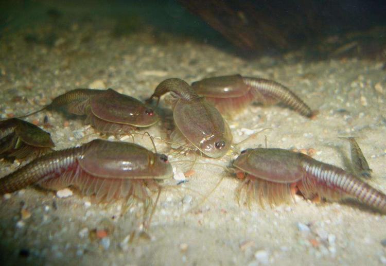 童年中哪些游戏最好玩儿,童年时代想怎么玩就怎么玩