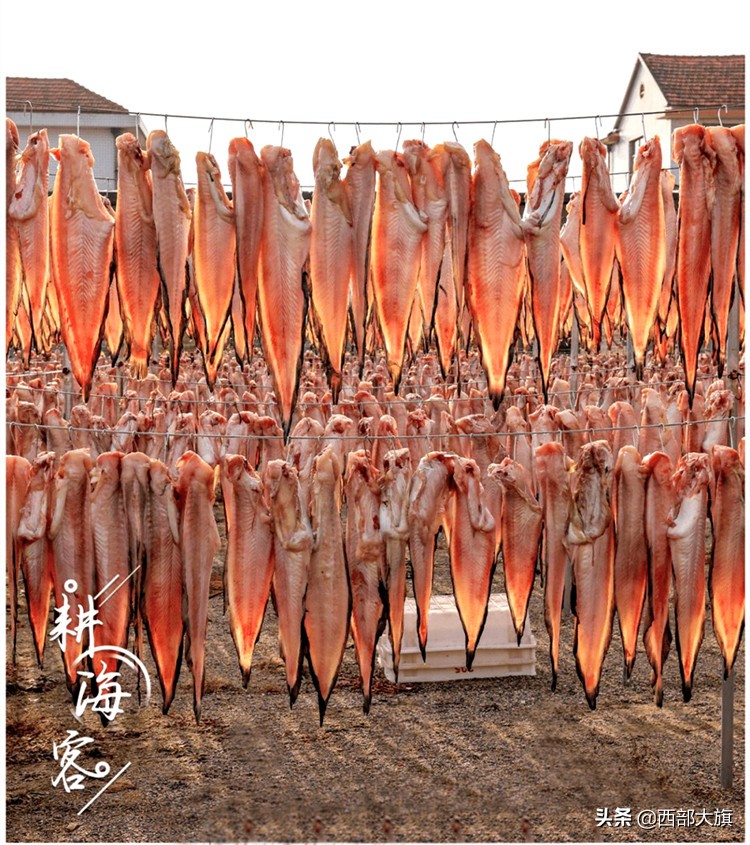 鱼干怎么晾,鱼干的烘干的方法