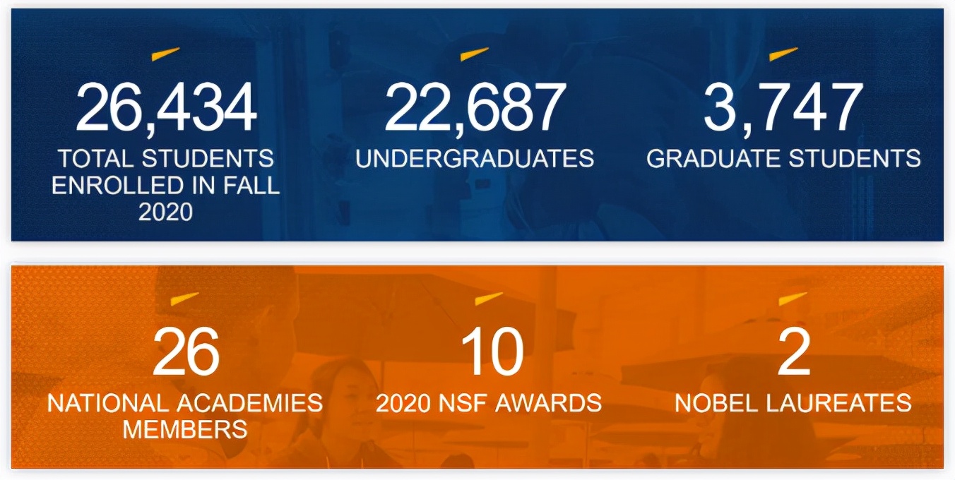 加州大学排名50-100,加州大学排名世界第几