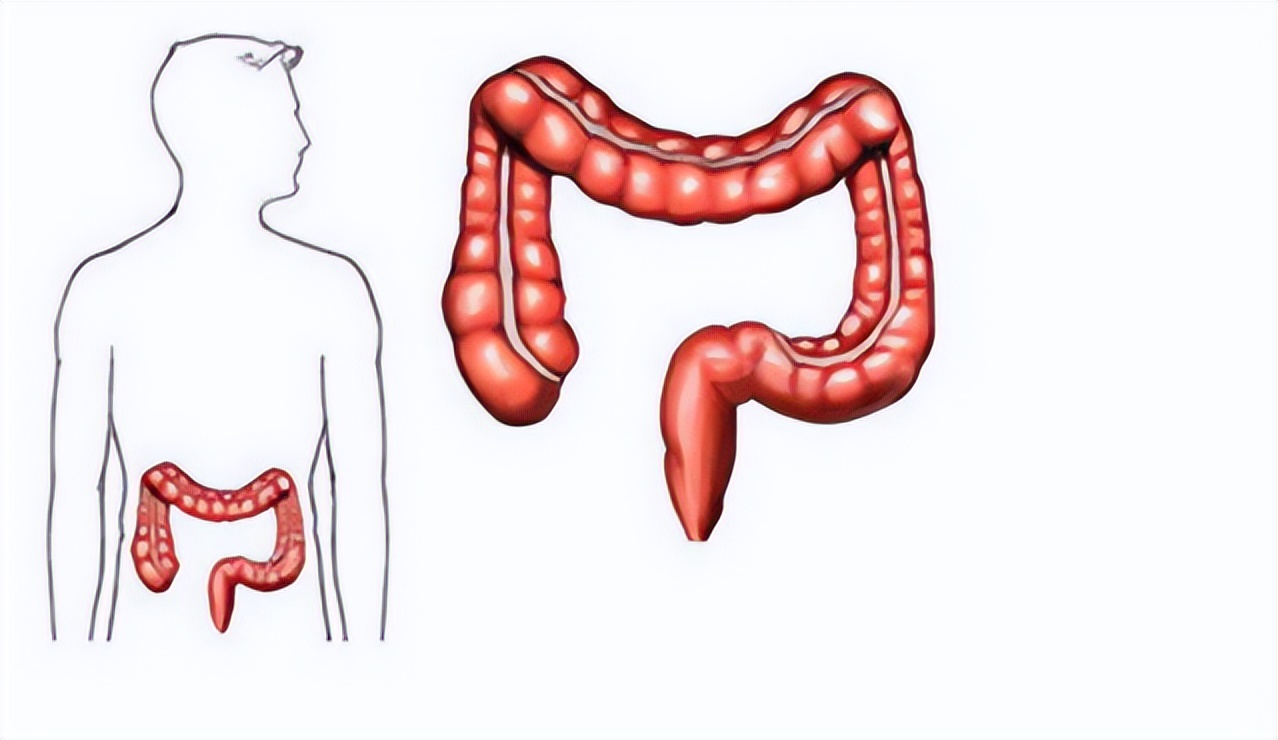 便秘用温水灌肠有害处吗,大人便秘自己灌肠冲洗