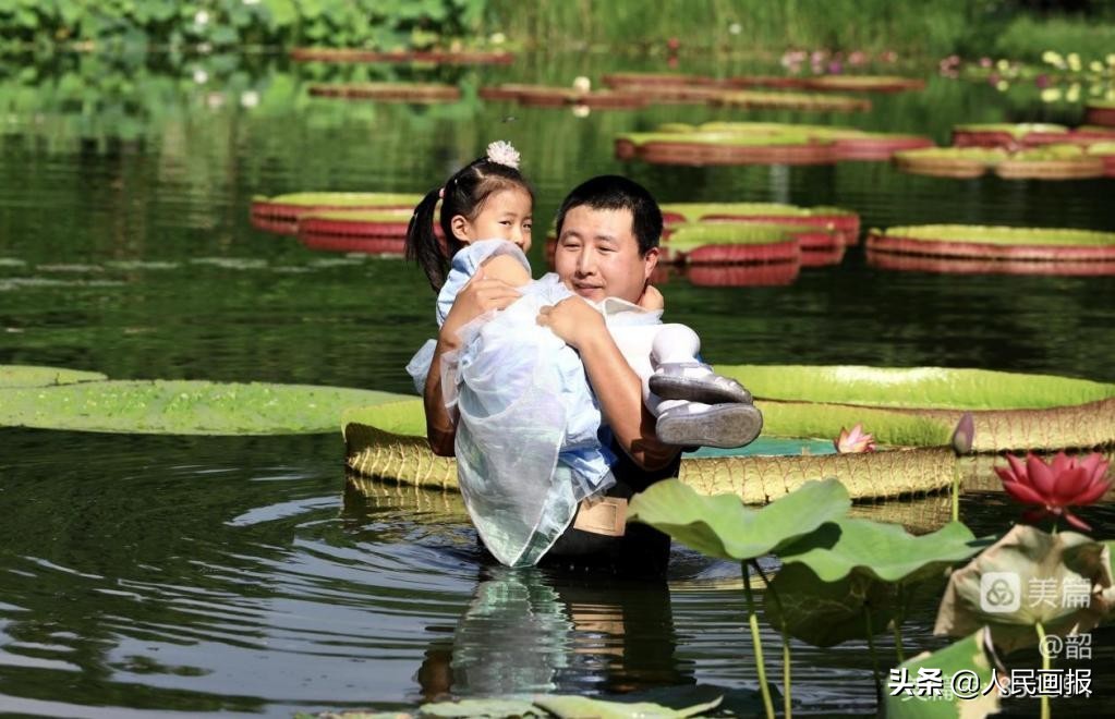 西双版纳中科院热带植物园王莲,在国家植物园畅游自然和古韵