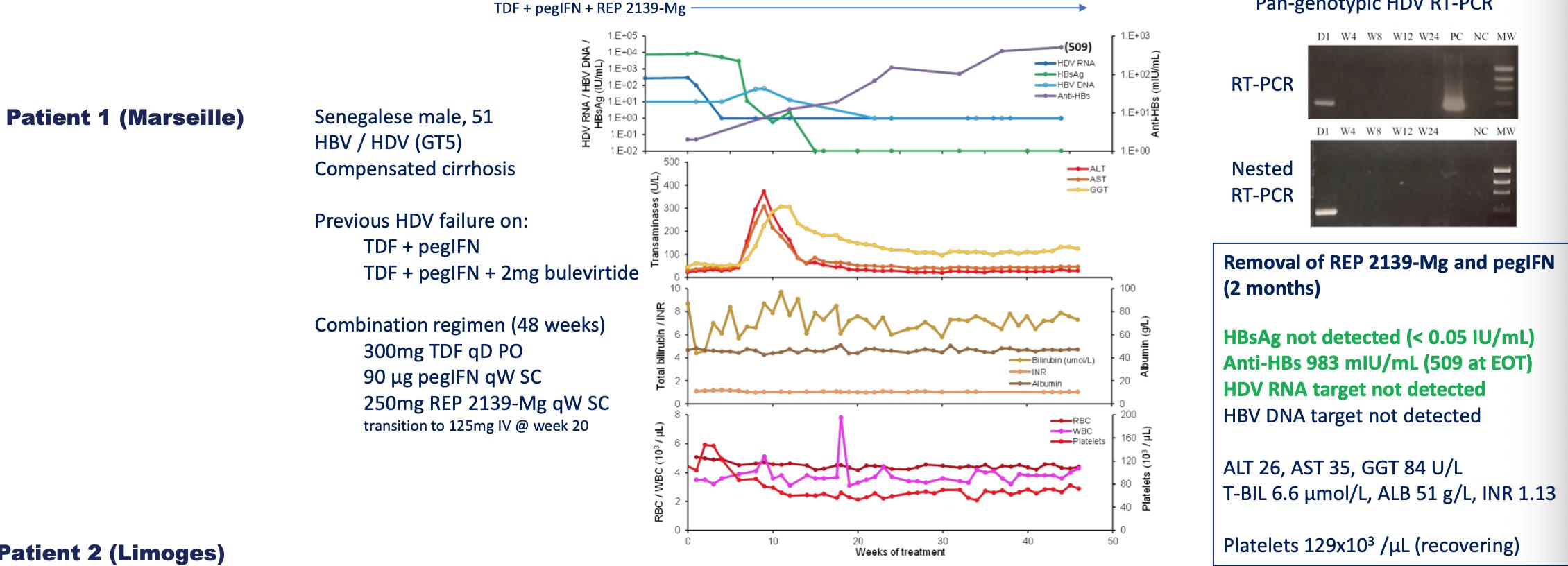 乙肝新药rep2165进展,乙肝在研新药hrs5091