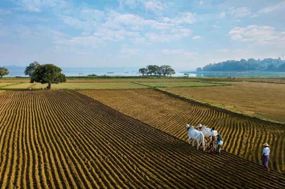 春耕备耕正当时七绝诗歌,春耕时节诗词鉴赏