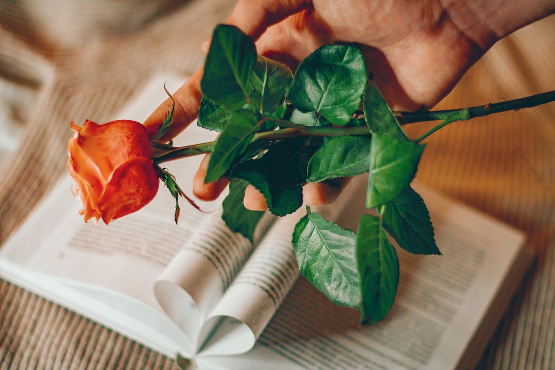 高情商女人怎样说话让男人爱上你,女人如何高情商聊天让男人上瘾