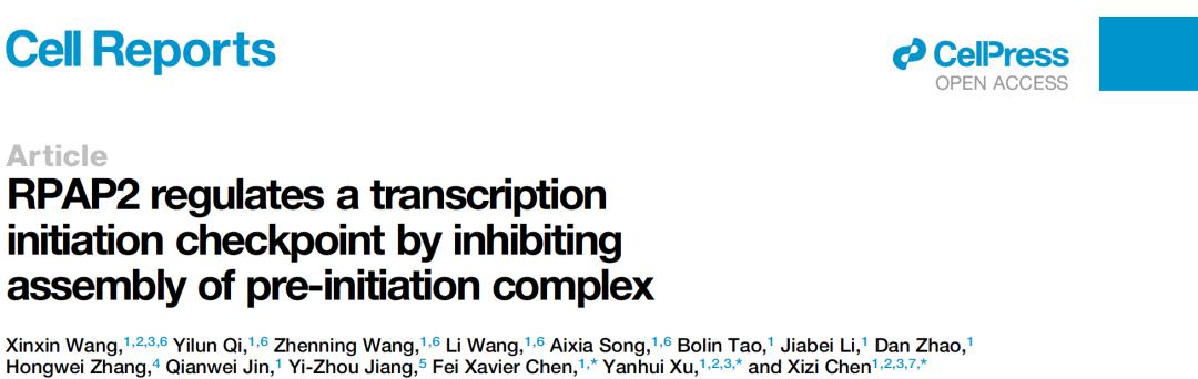 复旦团队发表研究成果,复旦大学最新科研消息