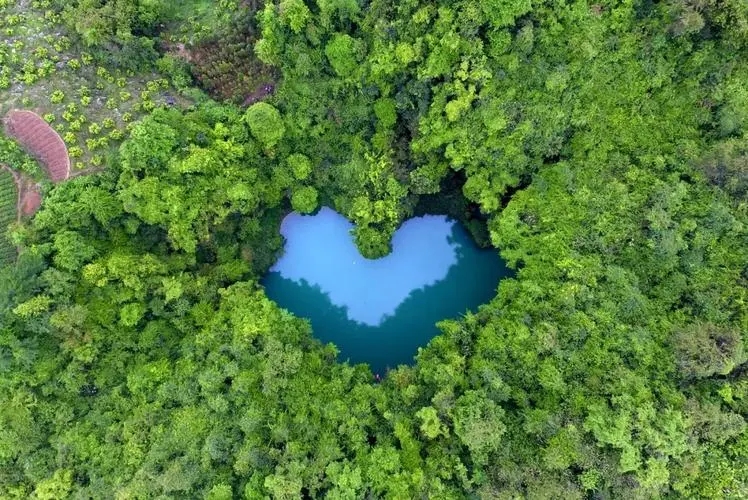 色彩心理学创作,色彩心理学的颜色代表什么