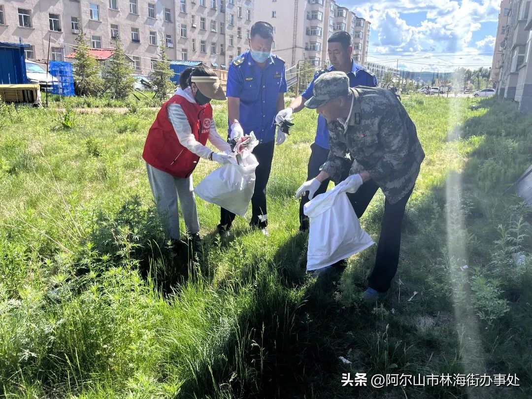 “*党**建引领聚合力助力创城我先行”阿尔山市林海街道兴林社区*党**支部开展全域互联共建环境卫生整治活动