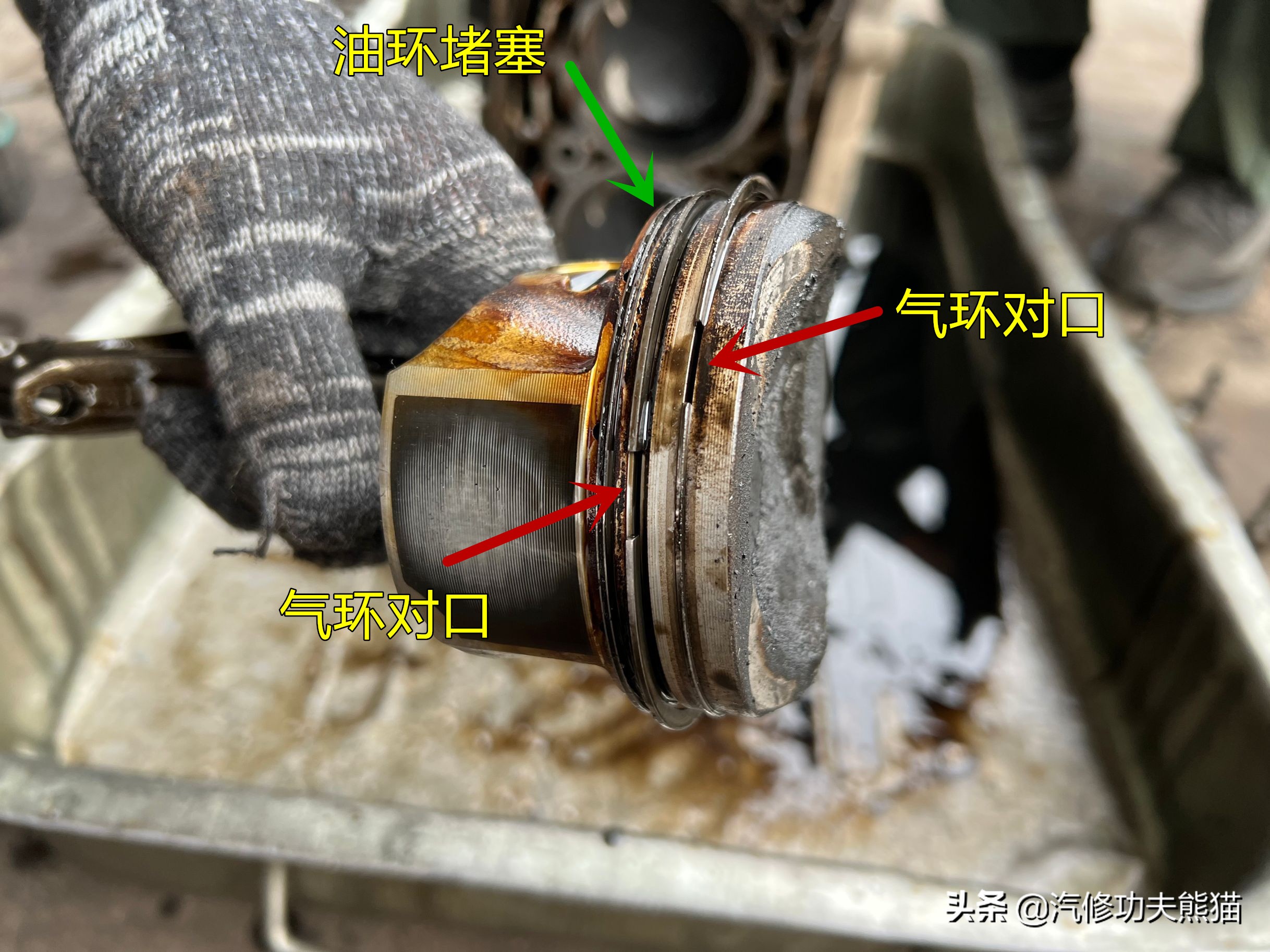 甯曡惃鐗硅溅涓荤儳鏈烘补瑙嗛,澶т紬甯曡惃鐗圭儳姘旈棬