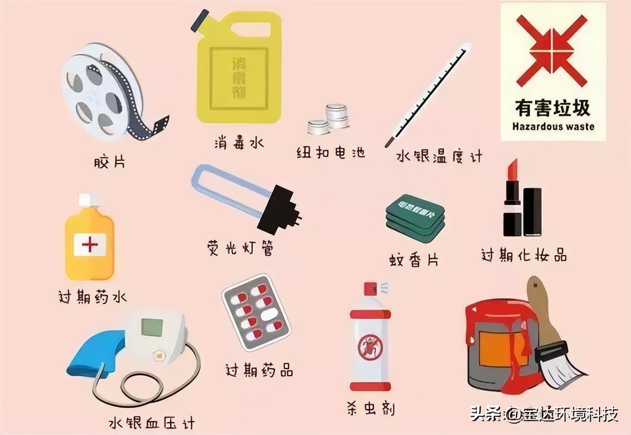 垃圾分类知识二十四字,垃圾分类知识有关的视频