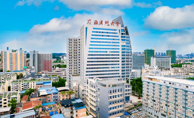 广西桂林医学院二本录取分数线,广西桂林医科类大学排名