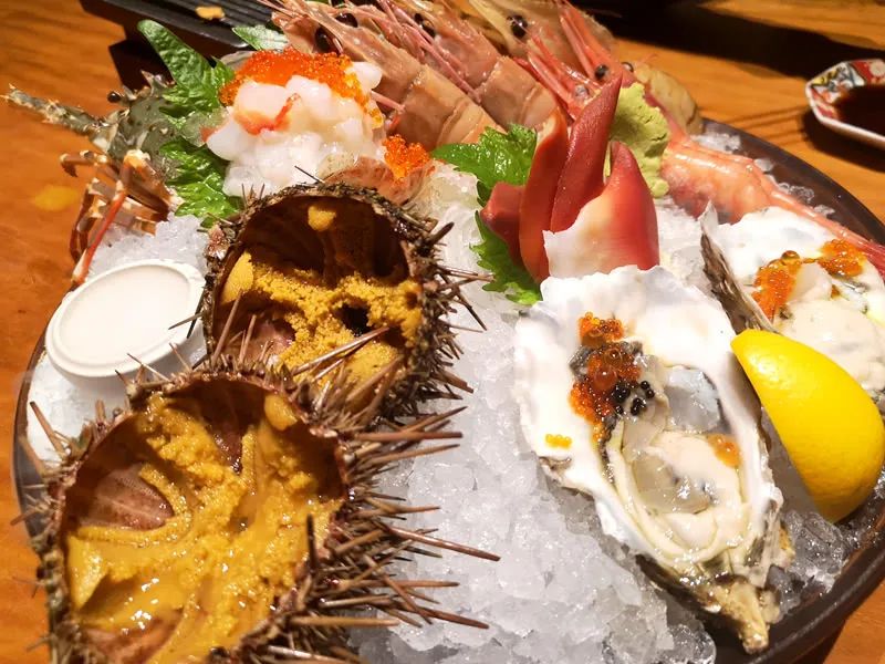 比蟹黄还珍贵！澳洲海胆“疯狂”生长，专家呼吁居民多吃