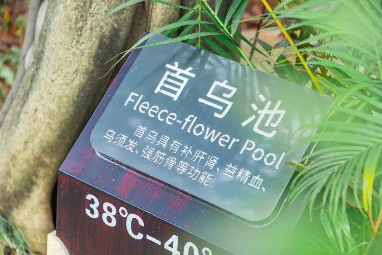 厦门泡温泉日月泉,冬季室外温泉别样感受