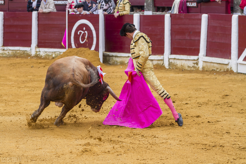 你所不知道的国家冷知识西班牙,西班牙语30秒认识西班牙冷知识