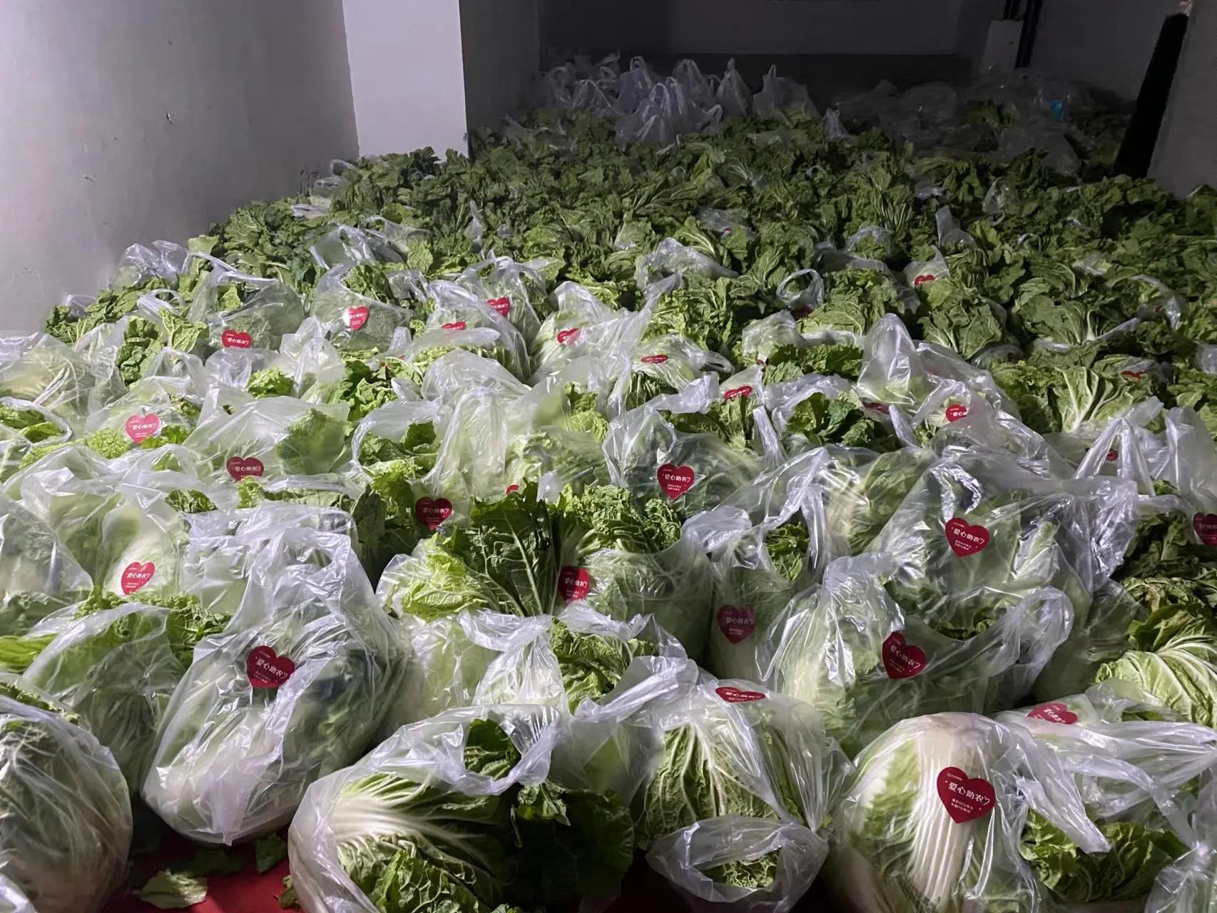 坚守一线物业人的执着,勇担使命积极作为