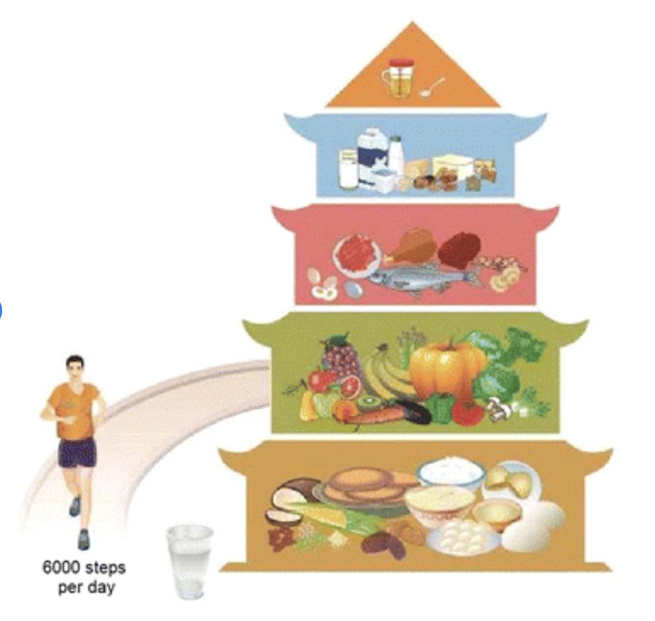 中餐膳食与营养,健康饮食中餐