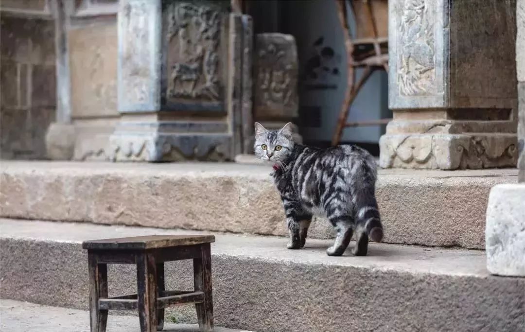 太湖西山岛旅游团建民宿,苏州西山岛一日游团建