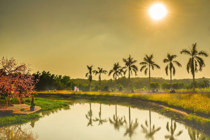 期货高手5秒周期交易技巧,玉米期货交易高手实操技巧