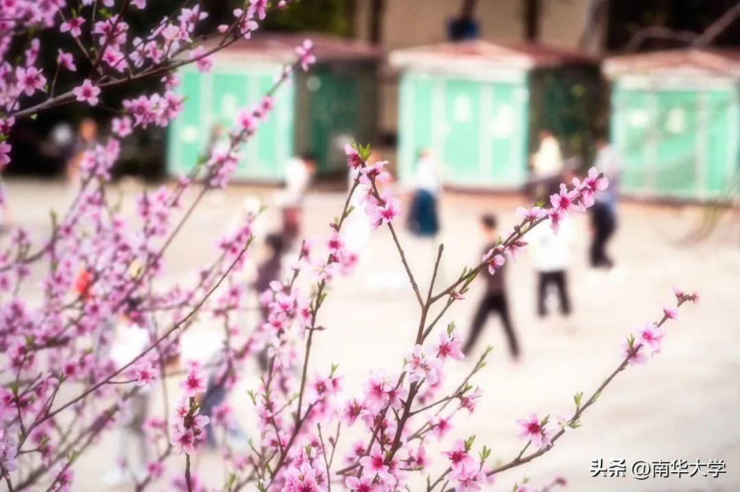 南华大学校花全集,校花南华大学