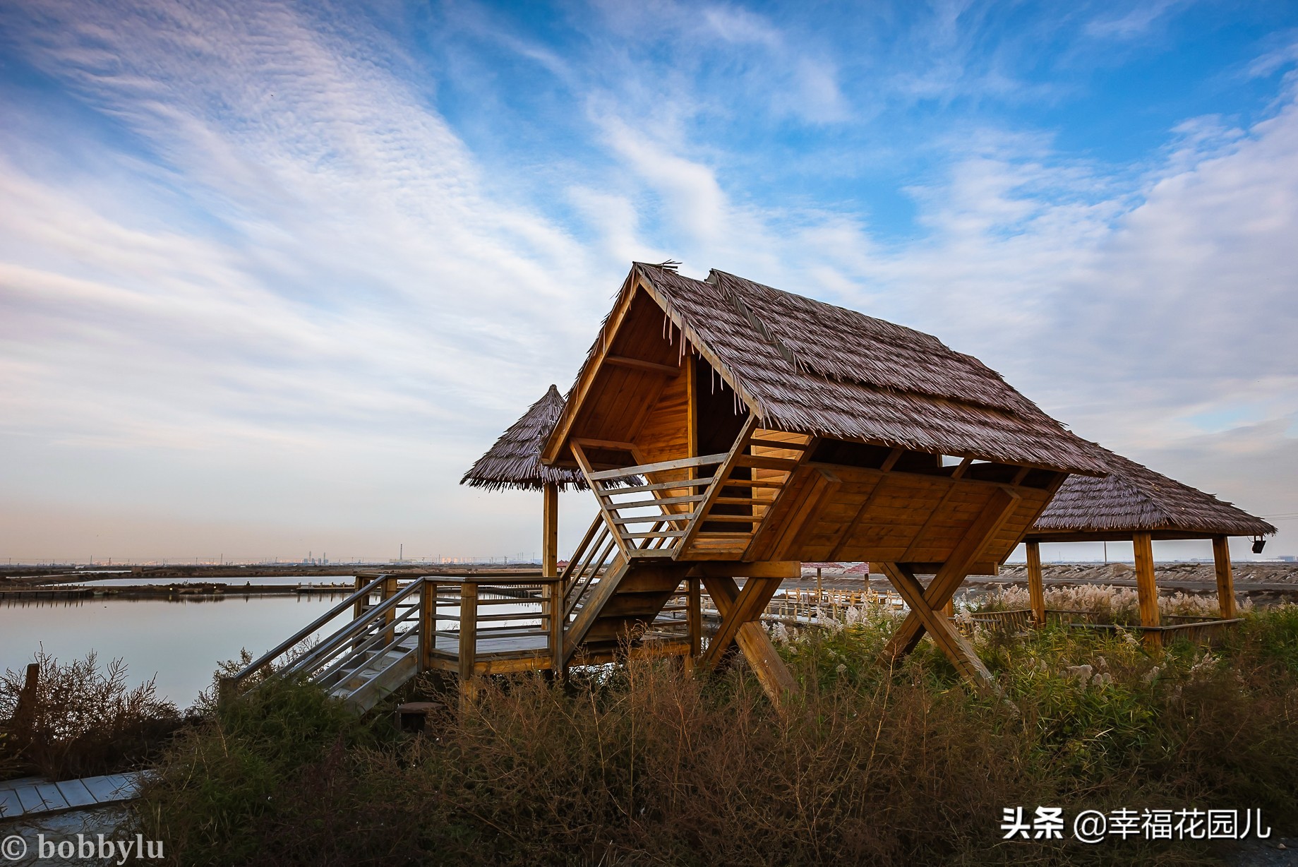 美味河豚有多金贵？养殖就有多娇贵！十里海河豚小镇探秘美食之源