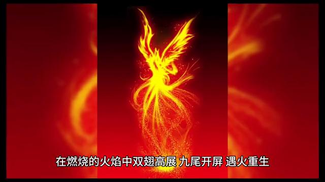 神秘的老者免费小说,神秘老者出现小说