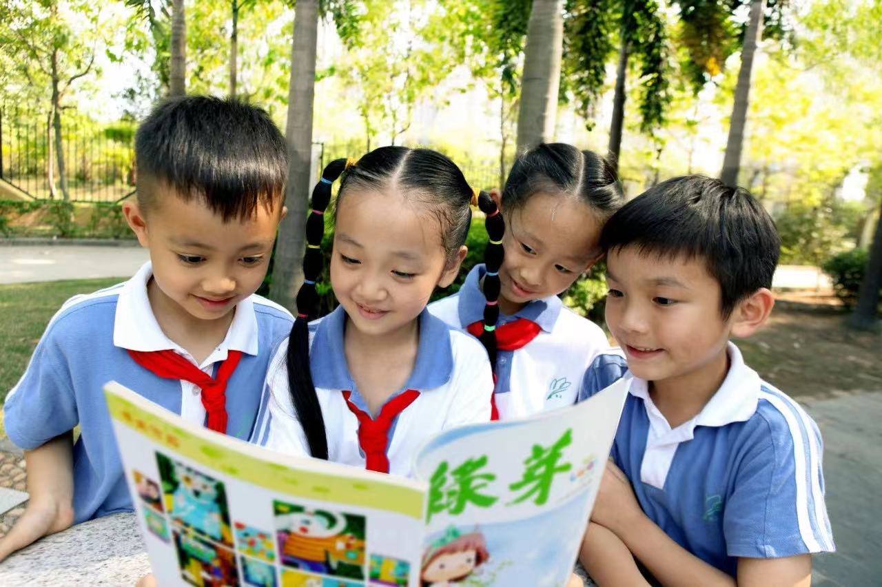 深圳国际教育留学,深圳国际教育