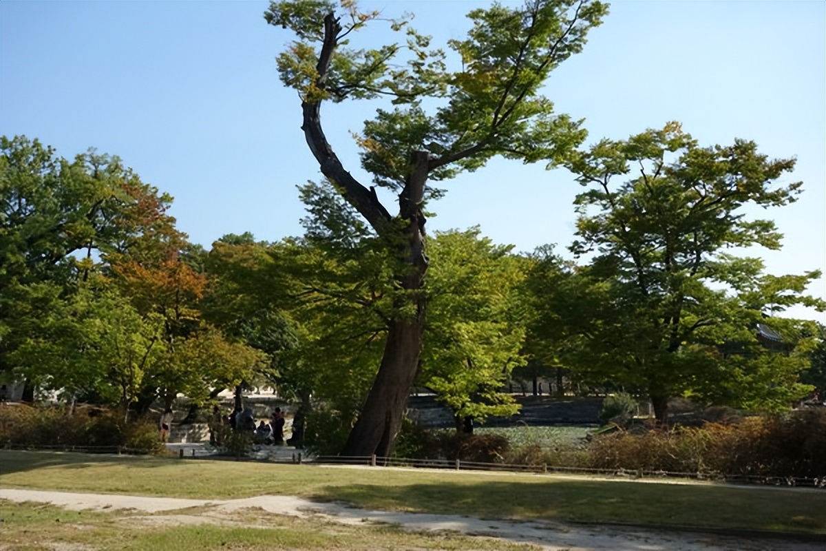 首尔景福宫游记,韩国景福宫和青瓦台在一起吗