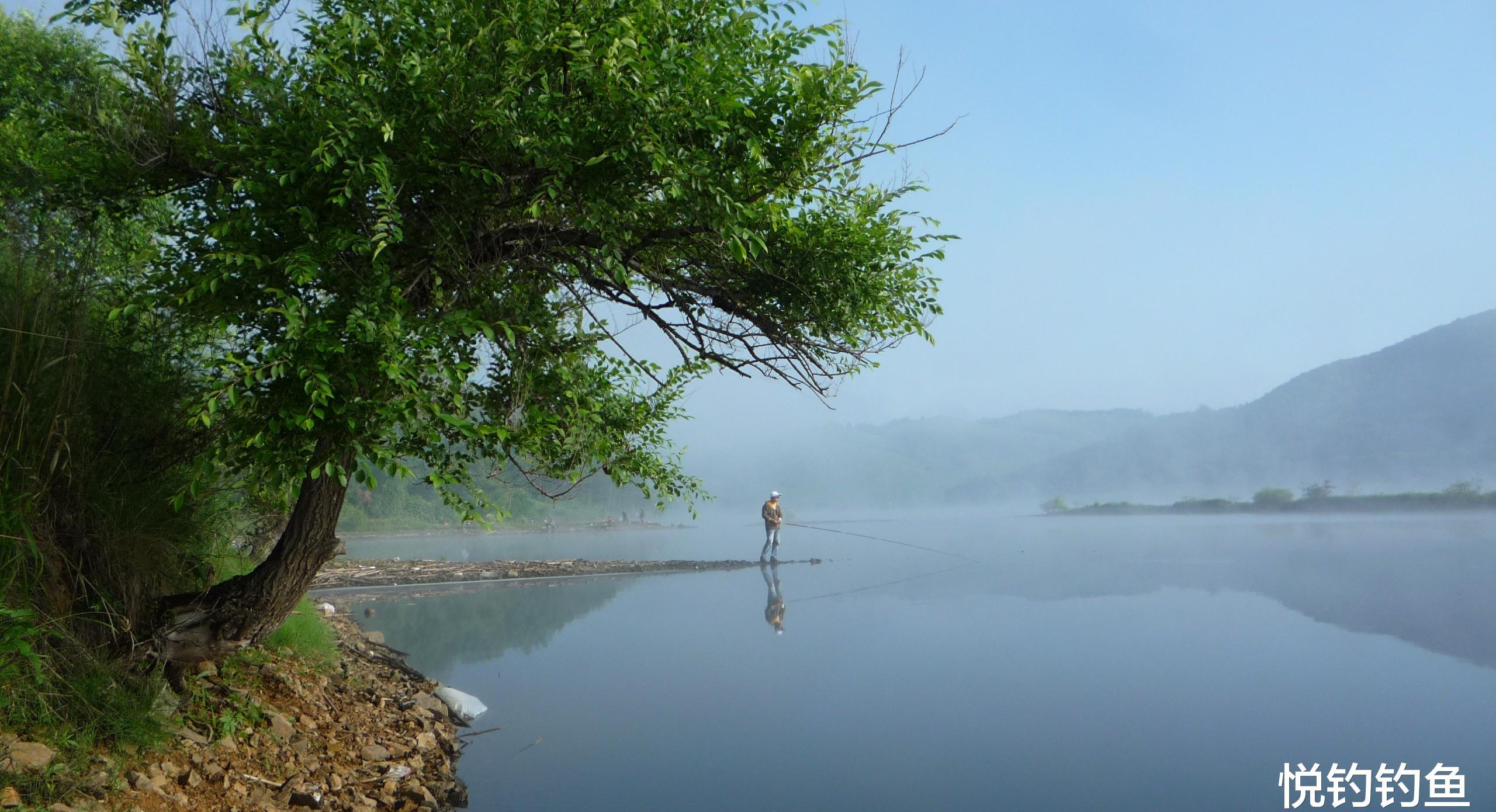 水库钓鱼需要什么做饵,水库钓鱼有什么讲究吗