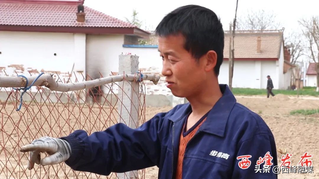 帅龙龙是干什么的,帅龙龙