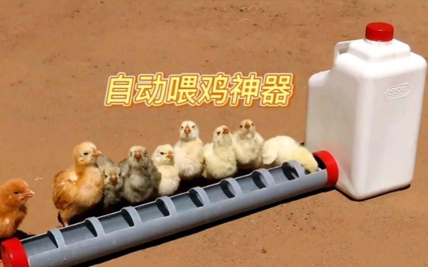 用pvc管自制养鸡饮水管,用ppc管自制养鸡饮水器