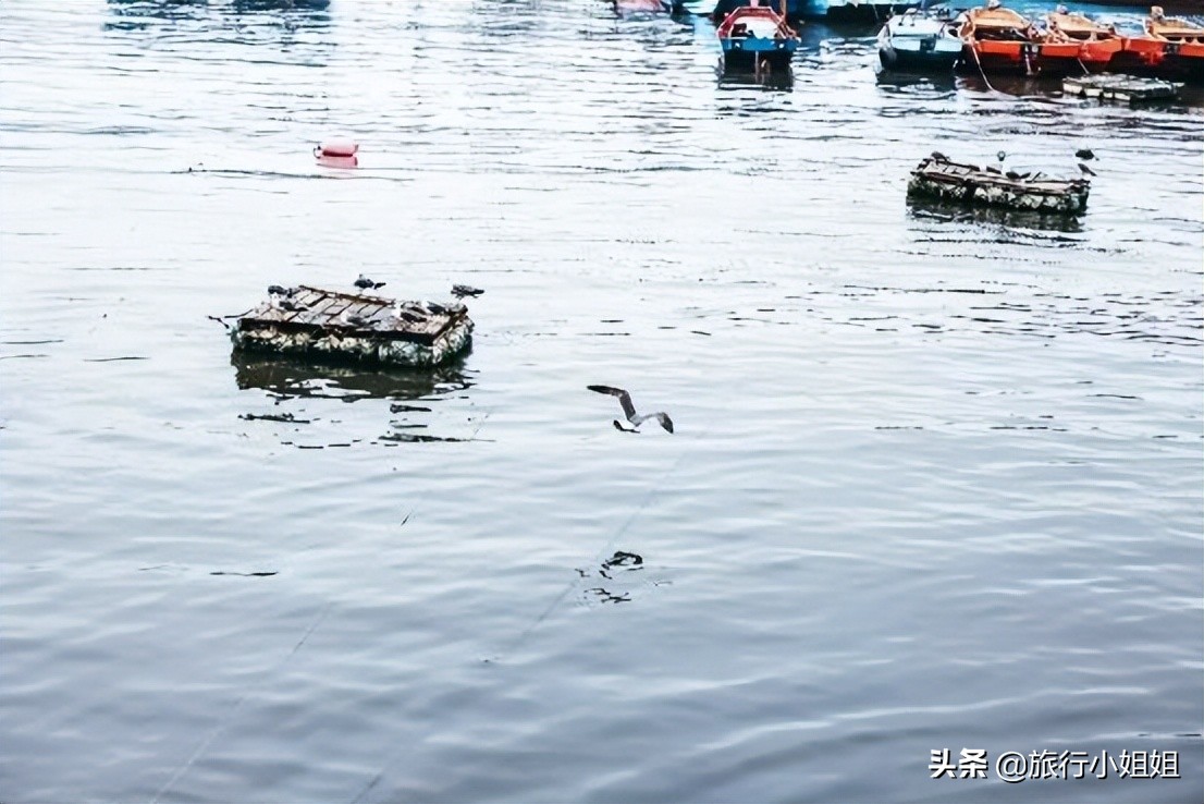 夏日海边浪漫迷人,滨城风光秀丽浪漫气息爆表