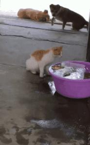 给女朋友送睡衣推荐,给女朋友送一套睡衣