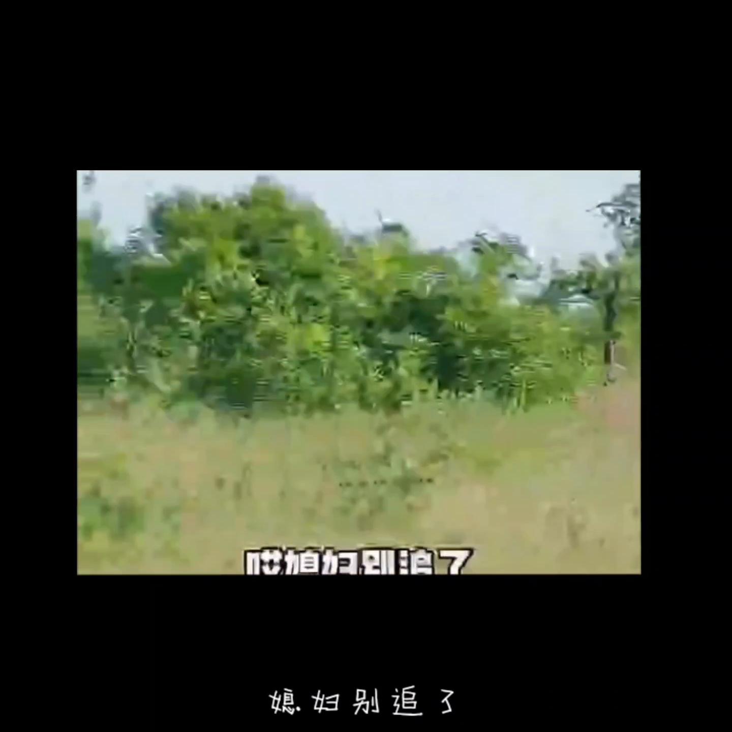 关注我每天分享不同的事,关注我每天分享不同的故事搞笑段子