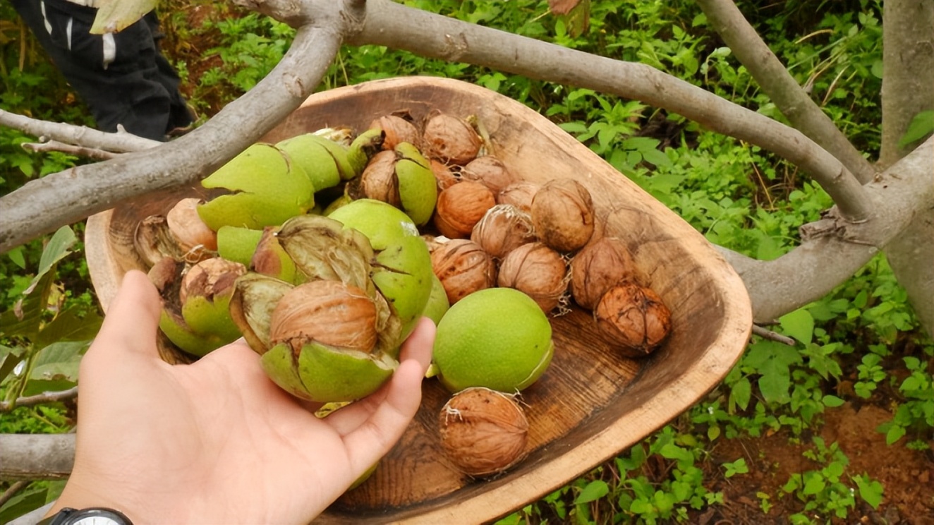 在云南沙溪，年轻人彻底躺平，你们这样让资本家急了