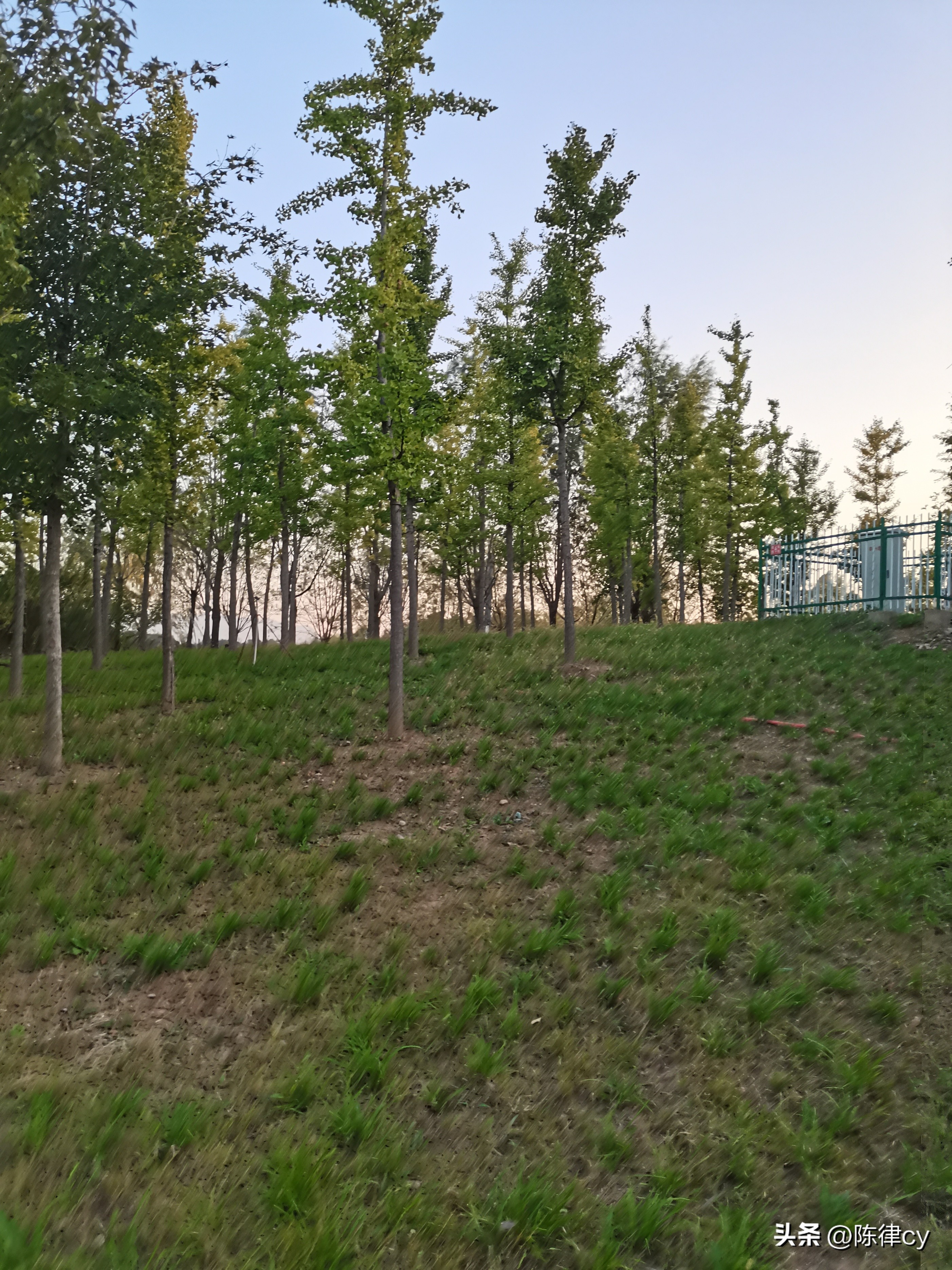 债权人撤销离婚协议财产约定案例,债权人撤销担保方离婚协议