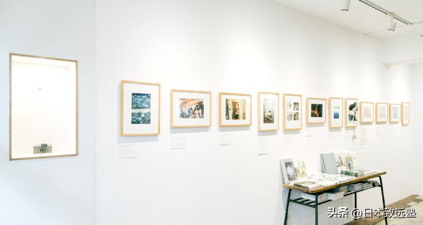 artfestival有什么活动,artfestival在哪一天