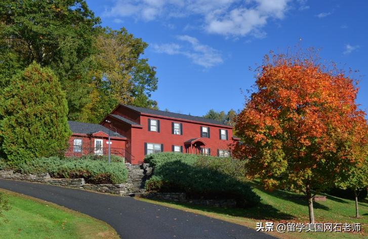 单板滑雪哪个项目好看,顶尖滑雪学校