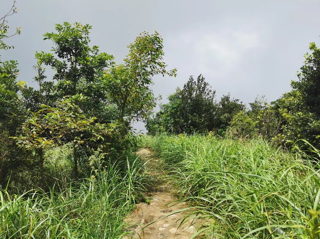广州从化第一峰天堂顶,广州第一峰从化