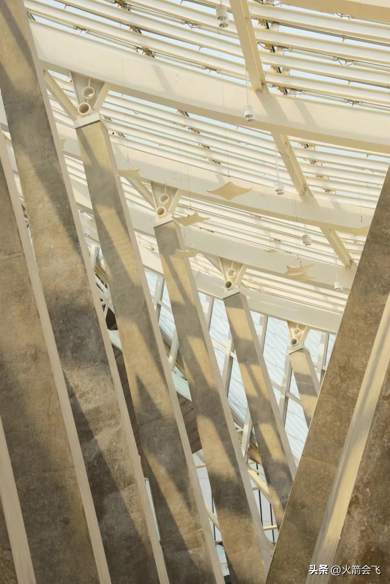 天津旅行攻略七日游价格多少,12小时极限游天津