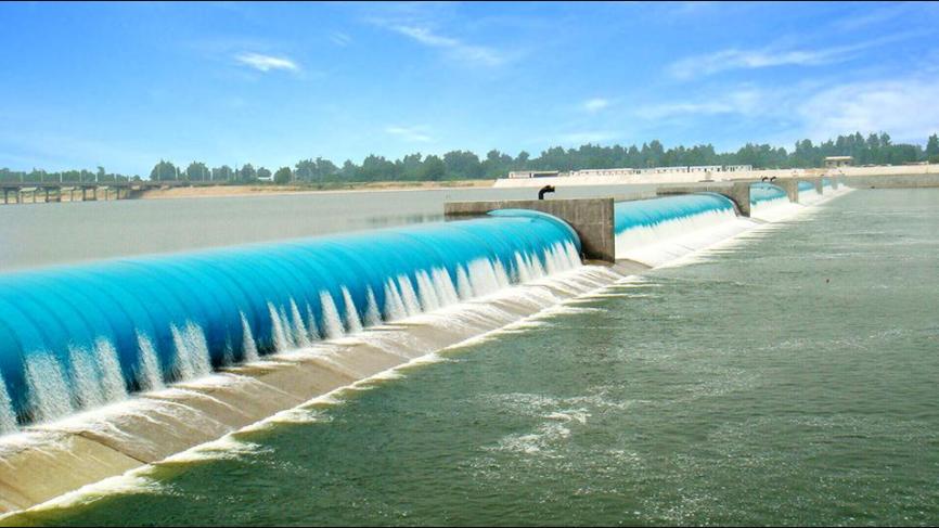 北京的鱼都,北京的鱼