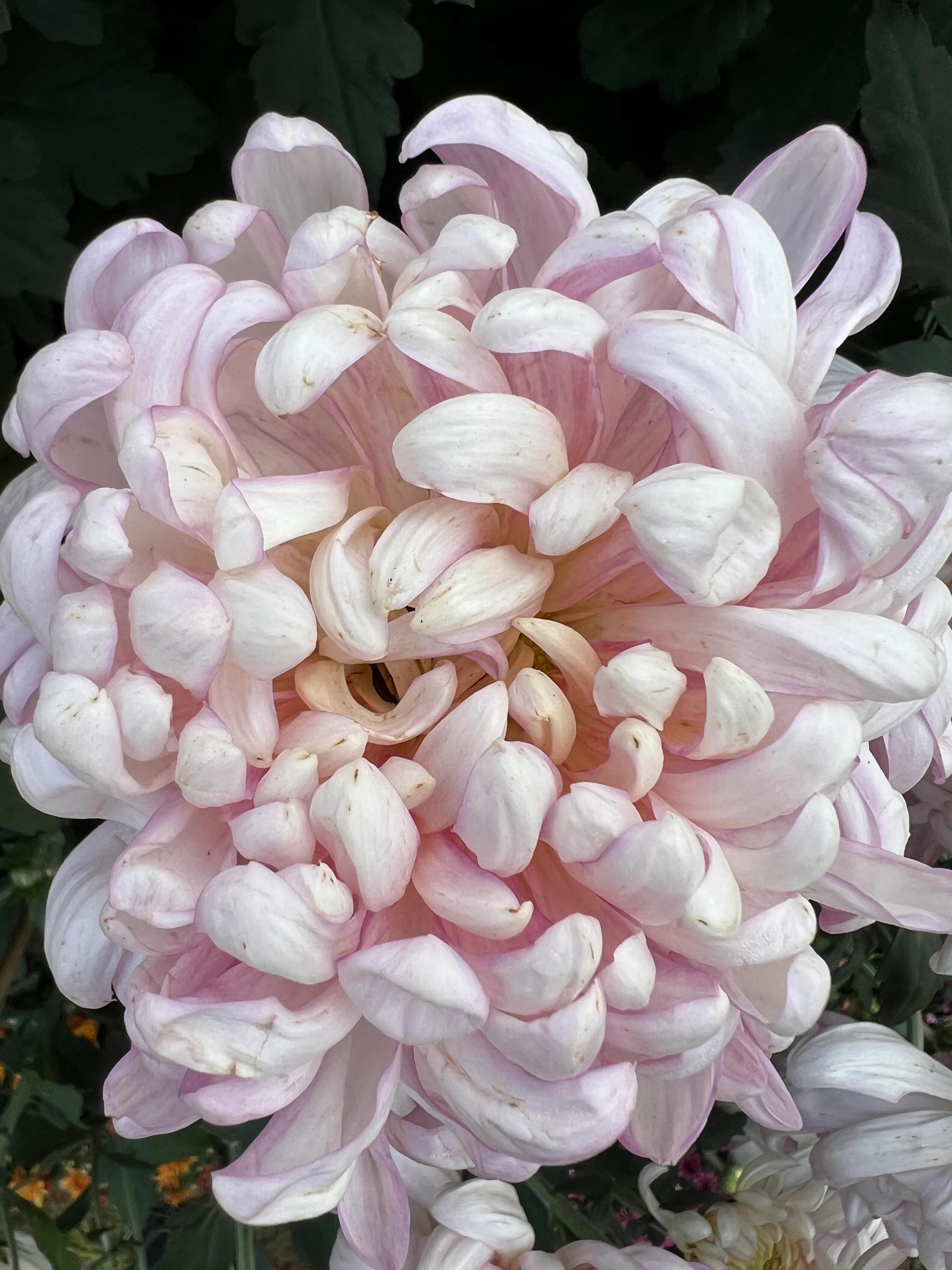 二十条负面清单,21条负面清单是哪些