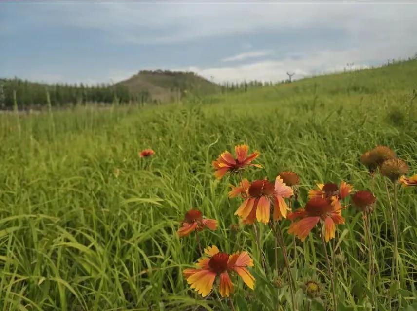 乌鲁木齐2020年十大公园,乌鲁木齐公园数量